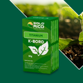 K-BORO