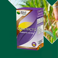 COMPACTO